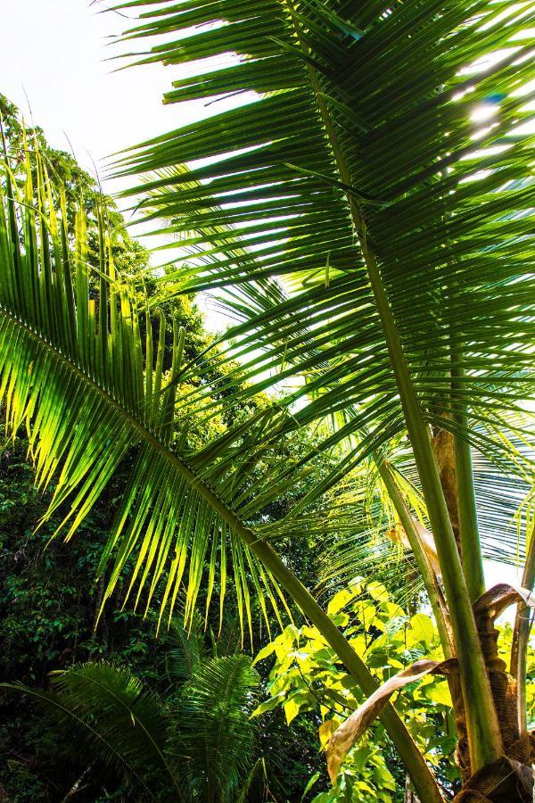 Choibana Ecolodge Bahia Solano Exterior foto